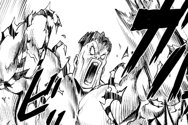 在中国阅读One-Punch Man漫画第312章的链接 秘密謎題