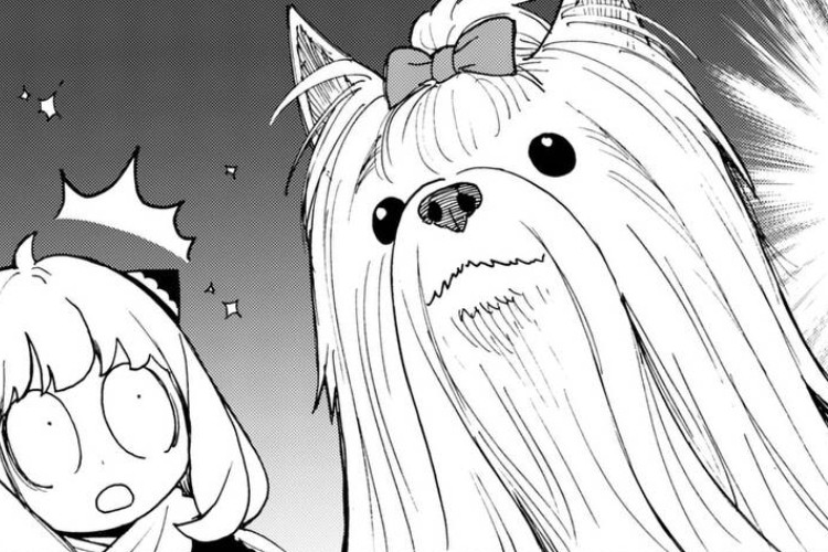 發行日程表《間諜家家酒 - SPY×FAMILY》第141話瑪莎依然深陷愛河