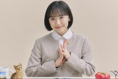 日版《非常律師禹英禑》遭抨擊；對自閉症的刻畫及飯糰細節引發質疑！